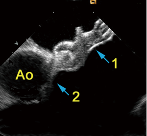 Click on image to zoom Figure 3