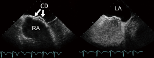 Click on image to zoom Figure 6