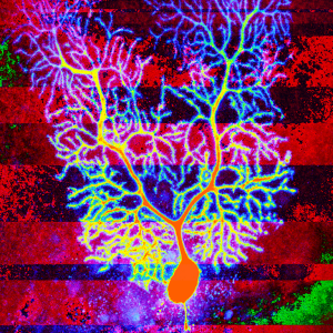 Click on image to zoom