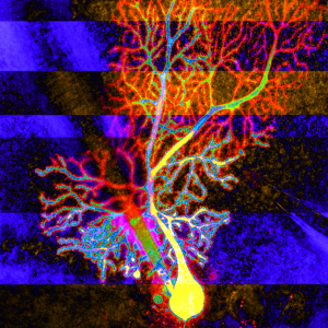 Click on image to zoom