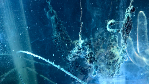 Click on image to zoom