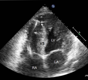 Click on image to zoom Figure 6