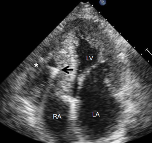 Click on image to zoom Figure 7