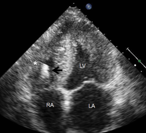 Click on image to zoom Figure 8
