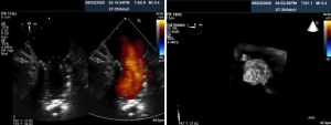 Click on image to zoom Figure 9