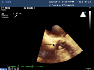 Click on image to zoom Figure 16