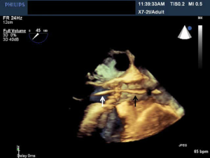 Click on image to zoom Figure 17