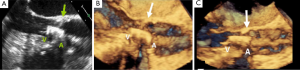 Click on image to zoom Figure 19