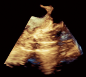 Click on image to zoom Figure 20