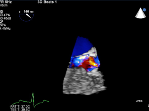 Click on image to zoom Figure 22