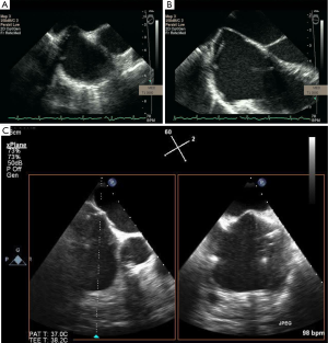 Click on image to zoom Figure 26