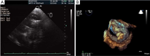 Click on image to zoom Figure 29