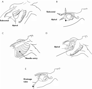Click on image to zoom Figure 3