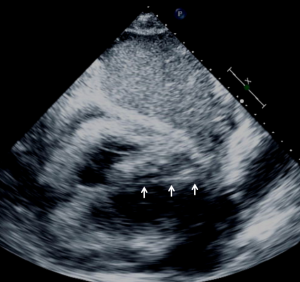Click on image to zoom Figure 5
