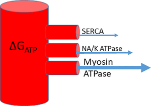 Click on image to zoom