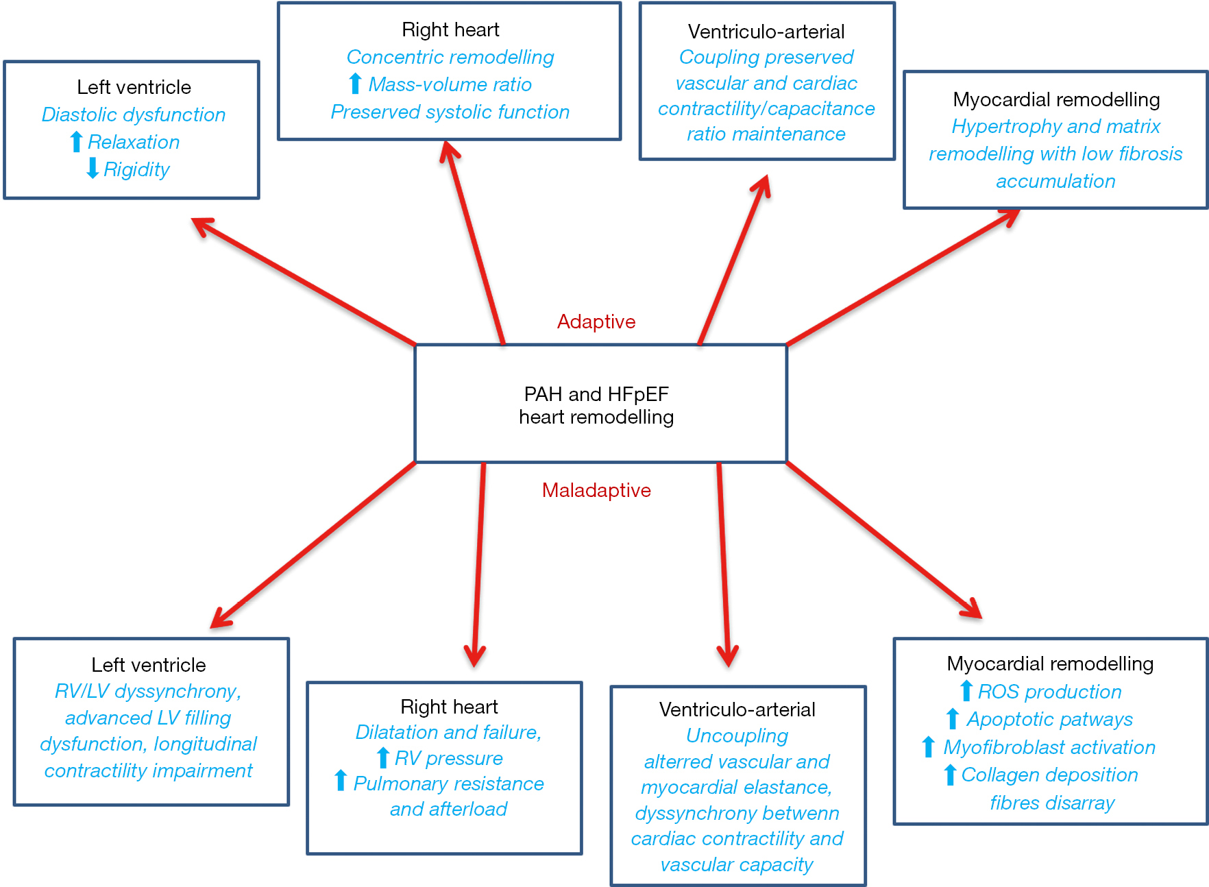 Pulmonary Arterial Hypertension And Heart Failure With Preserved Ejection Fraction Are They So Discordant Ruocco Cardiovascular Diagnosis And Therapy