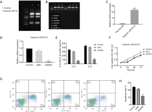 Click on image to zoom