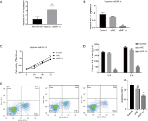 Click on image to zoom