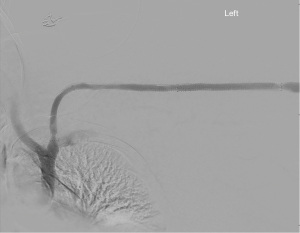 Click on image to zoom