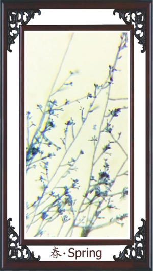Click on image to zoom