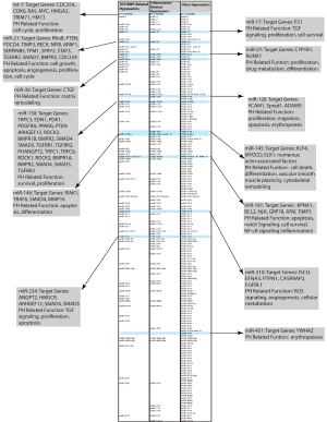 Click on image to zoom