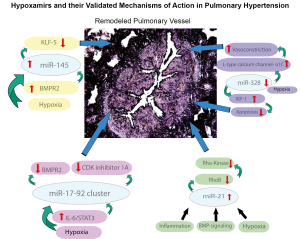 Click on image to zoom