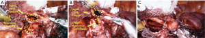 Click on image to zoom