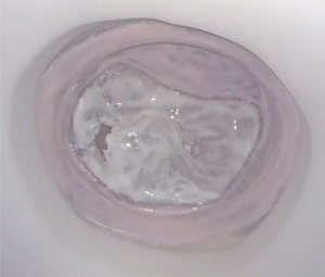 Click on image to zoom