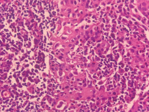 Click on image to zoom