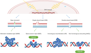 Click on image to zoom