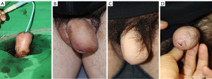 Click on image to zoom