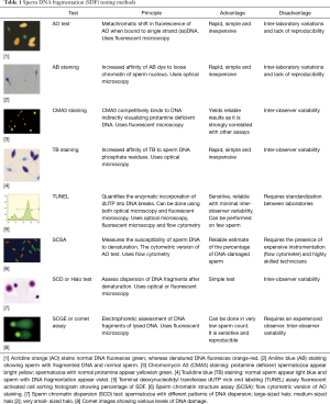 Click on image to zoom Table 1