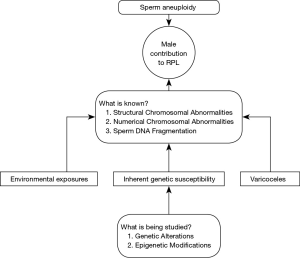 Click on image to zoom