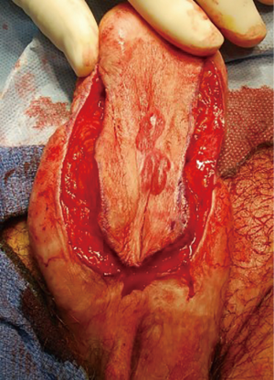 Click on image to zoom