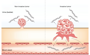 Click on image to zoom