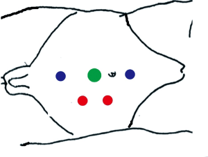 Click on image to zoom