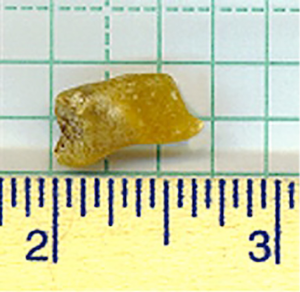 Click on image to zoom