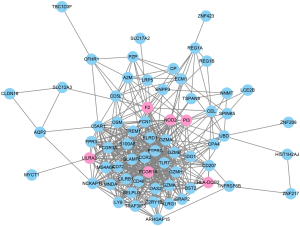 Click on image to zoom