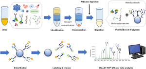 Click on image to zoom