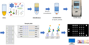 Click on image to zoom