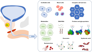 Click on image to zoom