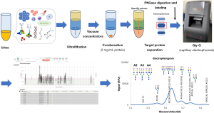 Click on image to zoom