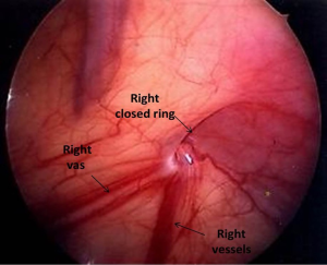 Click on image to zoom