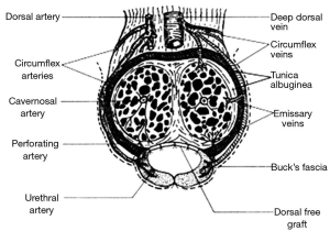 Click on image to zoom