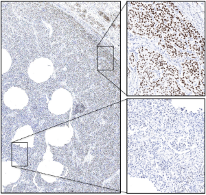 Click on image to zoom