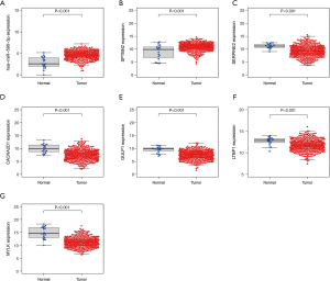 Click on image to zoom