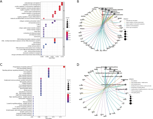 Click on image to zoom