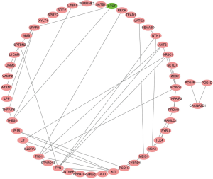 Click on image to zoom