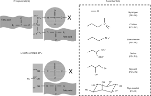 Click on image to zoom