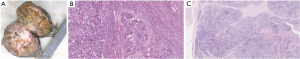 Click on image to zoom